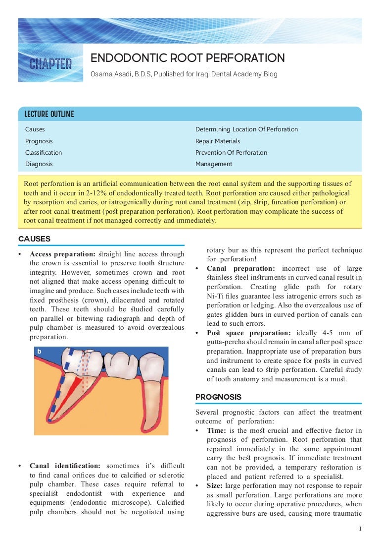 Cervical caries: causes, prevention, treatment 2 Cervical caries: causes, prevention, treatment 13
